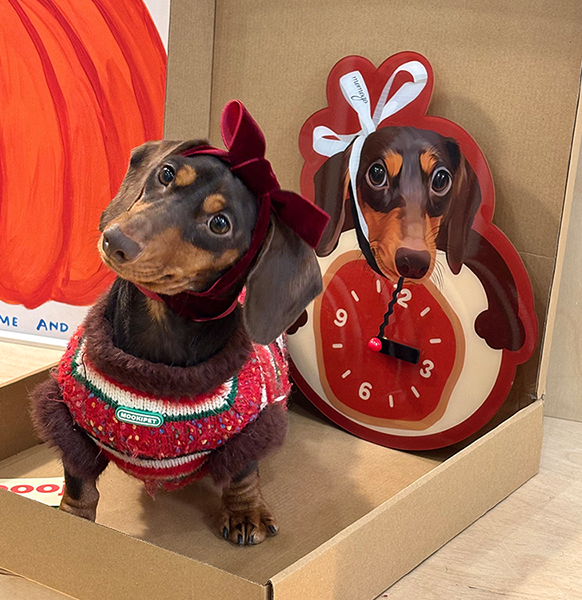 Custom Pet Photo Clock (Unique Shaped Gift)