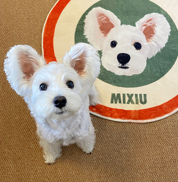 Custom Pet Portrait Rug – Personalized Dog & Cat Photo Carpet